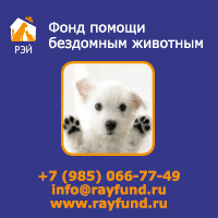 Фонд помощи бездомным животным Rayfund.ru